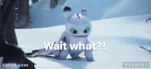 Toothless Saying Wait What GIF