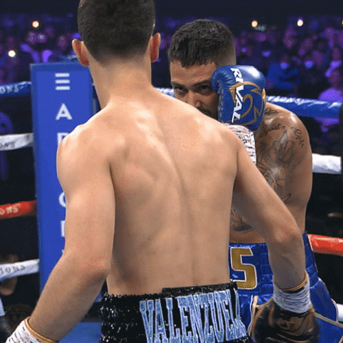 Top Rank Boxing Knockout GIF
