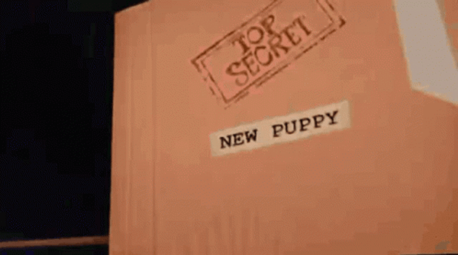 Top Secret  New Puppy Gotcha File GIF