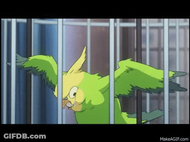 Toradora Inko Deranged Inside Cage GIF