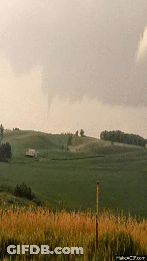 Tornado Disaster Field GIF