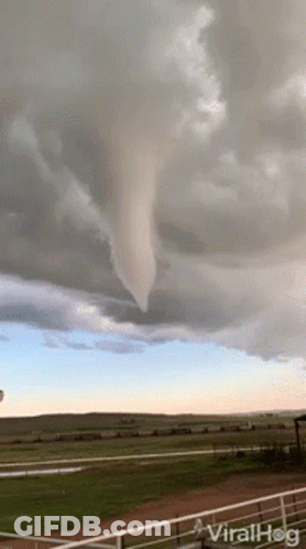 Tornado In Cloudy Sky With Viral Hog GIF