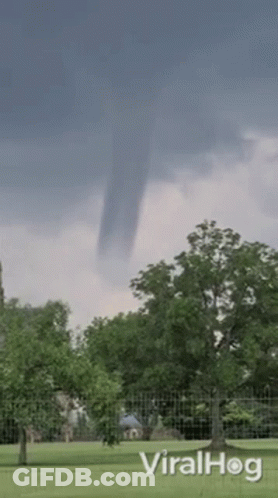 Tornado Moving Over Park With Trees GIF