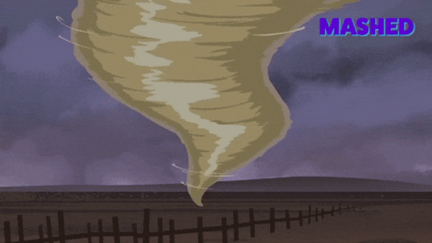 Tornado Spins Shark And Cow Like Fire GIF
