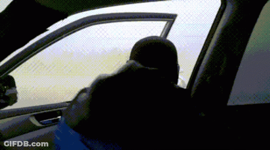 Tornado Wrangler Fighting Off Strong Wind GIF