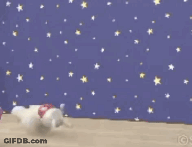 Toro Inoue Rolling On The Floor GIF