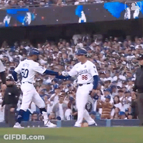 Toronto Blue Jays Baseball Game GIF