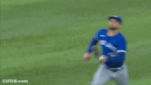 Toronto Blue Jays Kevin Kiermaier GIF