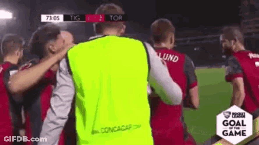 Toronto Done GIF