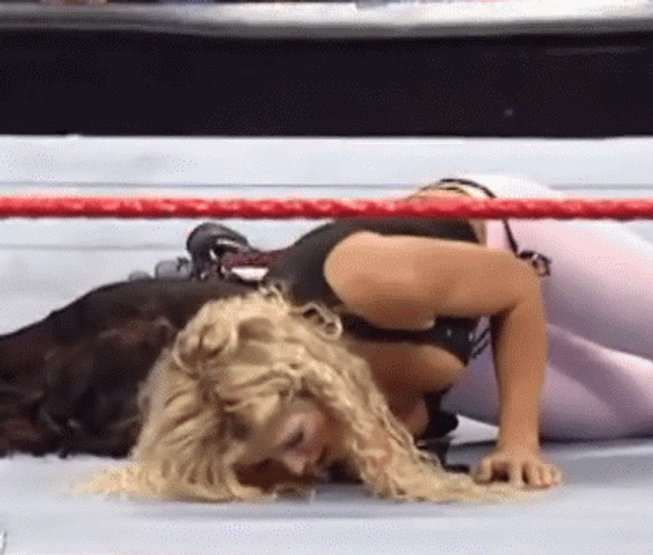 Torrie Wilson Crying In Agony During WWE Fight GIF