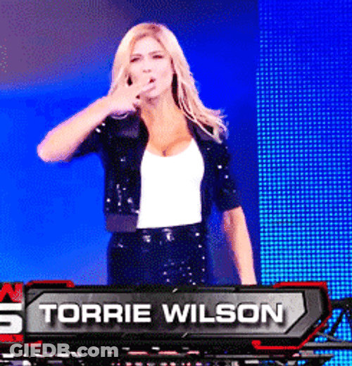 Torrie Wilson Waving Upon Introduction GIF