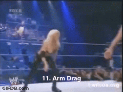 Torrierevolution Torriehpw GIF