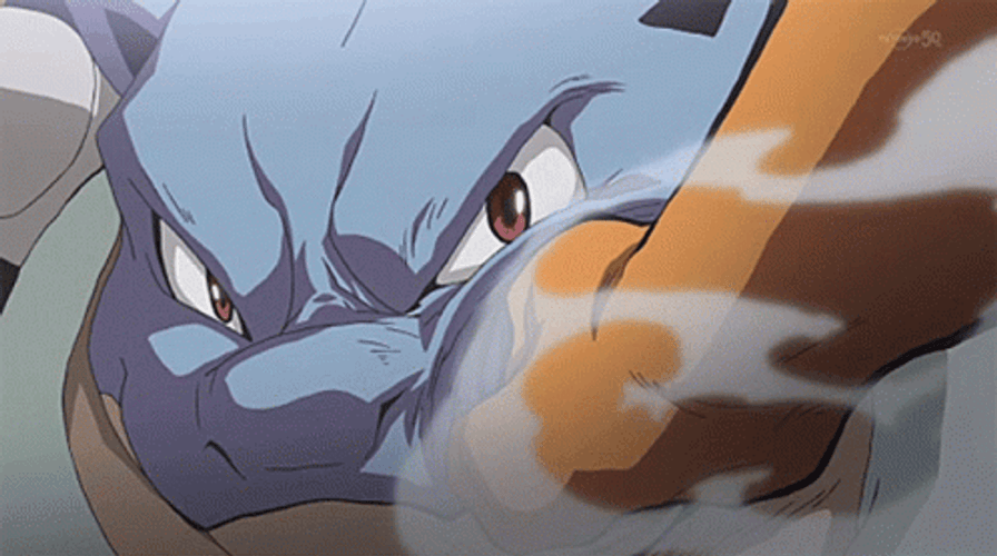 Tortank Punch Charizard GIF