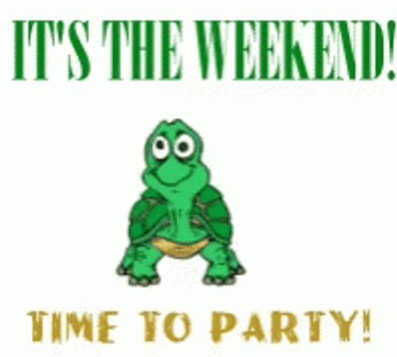 Tortoise Its The Weekend Time To Party GIF
