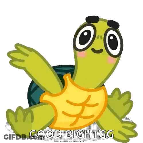 Tortuga GIF
