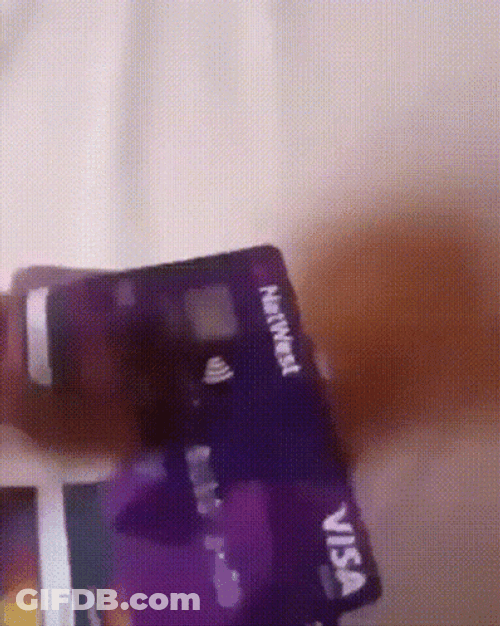 Tossing Credit Cards On Bed GIF