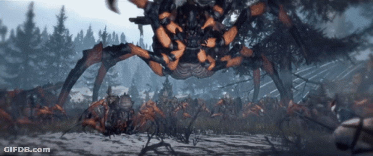 Total War Warhammer 2 Arachnarok Spider Attack GIF