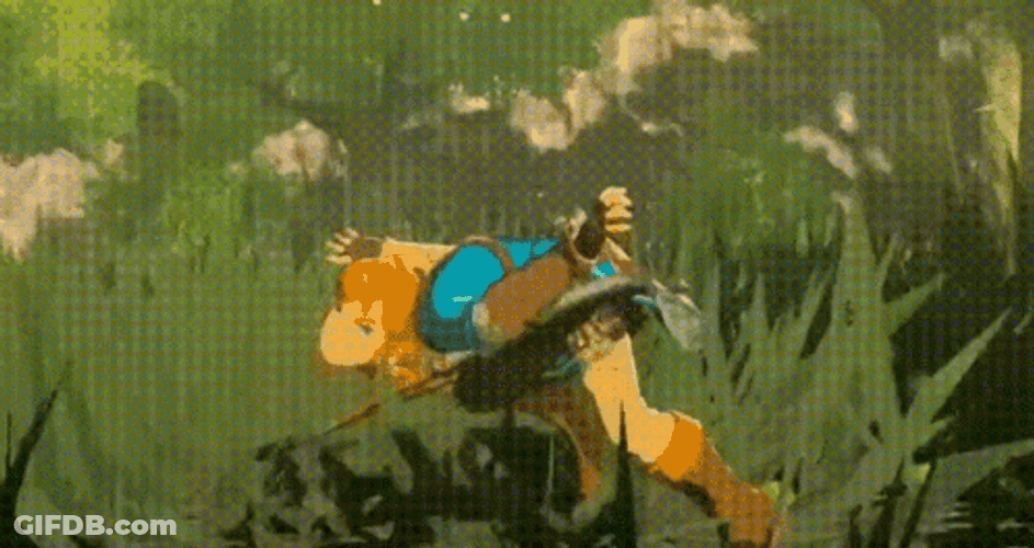 Totk Forest Running Link GIF