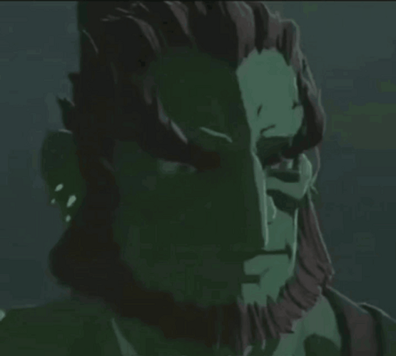 Totk Gannon Zelda Force GIF