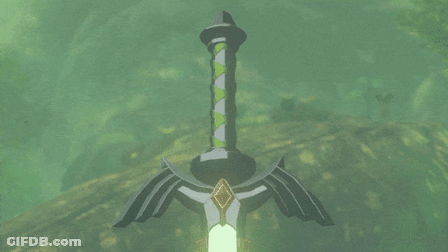 Totk Hold The Master Sword GIF