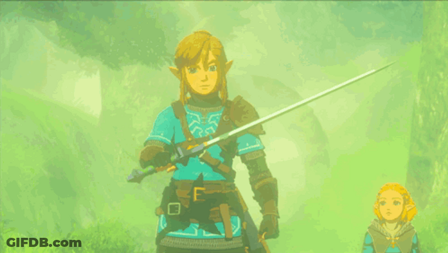 Totk Retrieving The Master Sword GIF