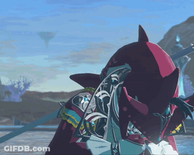 Totk Sidon Its Good To See You GIF