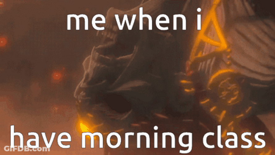 Totk When I Have Morning Class GIF