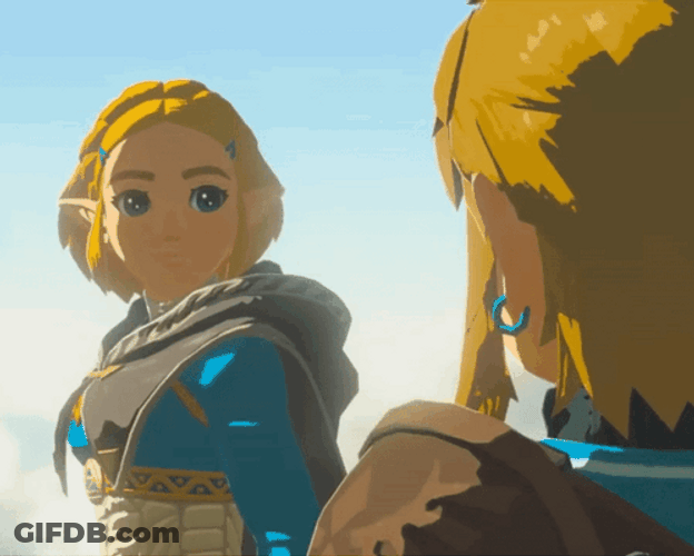Totk Zelda Looking To Link GIF