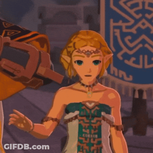 Totk Zelda Shocked GIF