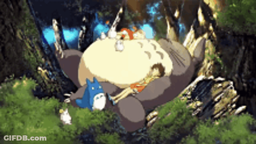 Totoro Sleeping With Satsuki And Mei Kusakabe GIF