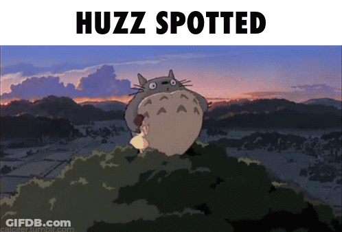 Totoro With Huzz GIF