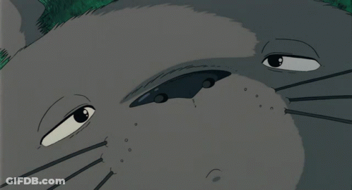 Totoro Yea I Had Burger Buuurp GIF