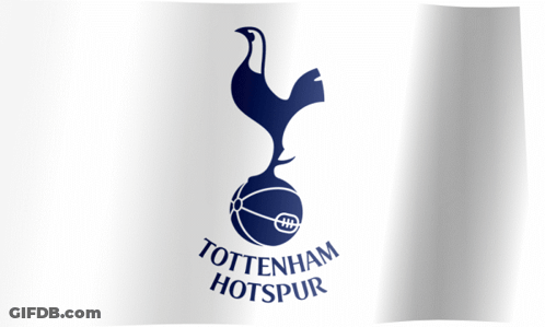 Tottenham Hotspur Flag With Rooster And Football GIF