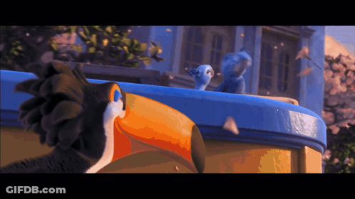 Toucan And Blue Bird On Building GIF