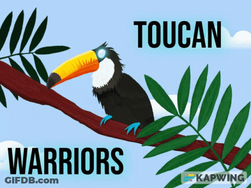 Toucan Sitting On Branch Saying Toucan Warriors GIF