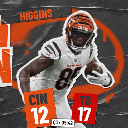 Touch Down Tee Higgins GIF