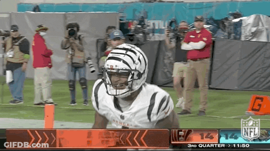 Touchdown Right Here Ja'marr Chase GIF