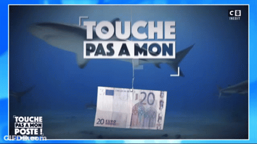 Touche Money Underwater With Shark GIF