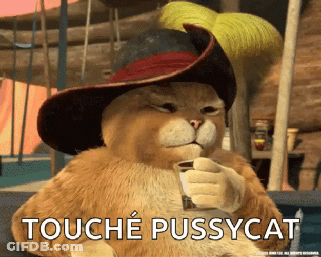 Touche Puss In Boots GIF