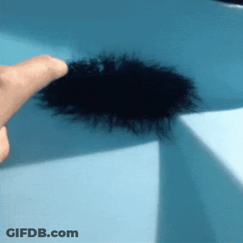 Touching The Nest Of Spider Jumpscare GIF