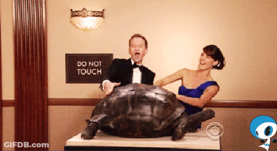 Touching Turtle Statue Inside Museum GIF