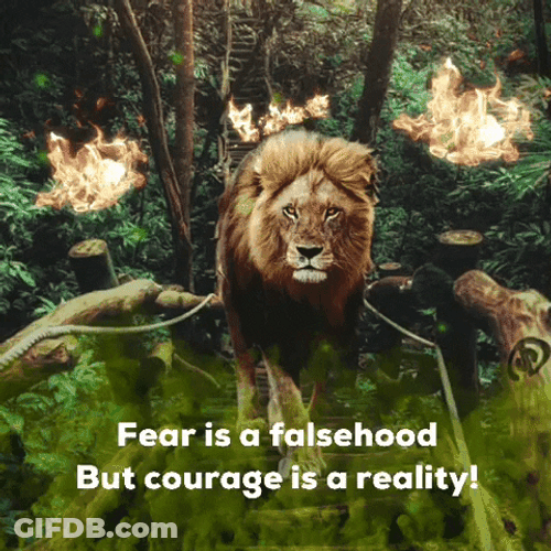 Tough And Courageous Lion GIF