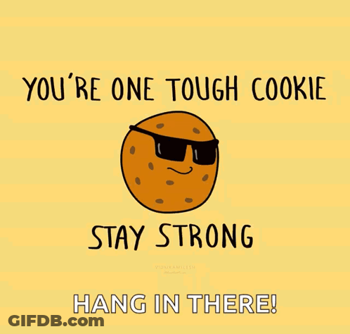 Tough Cookie In Sunglasses: You're One Tough Cookie Stay Strong Hang In There GIF