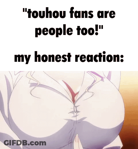 Touhou Fans Are People Too My Honest Reaction GIF