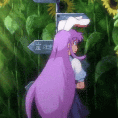 Touhou Moon Rabbit Reisen Watermelon Turn Around GIF