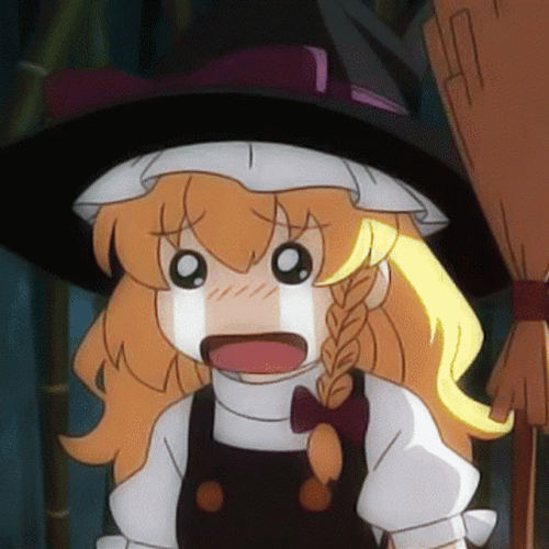 Touhou Project Marisa Kirisame Shocked Crying GIF