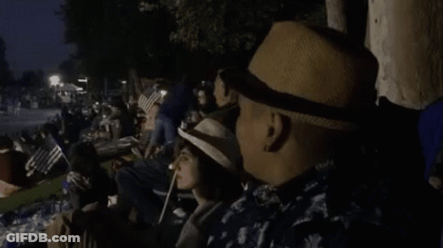 Tourist Kip Yes GIF