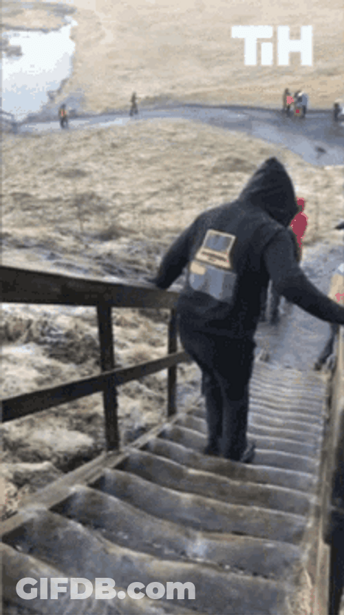 Tourist Trying To Be Careful Falling Down Stairs GIF
