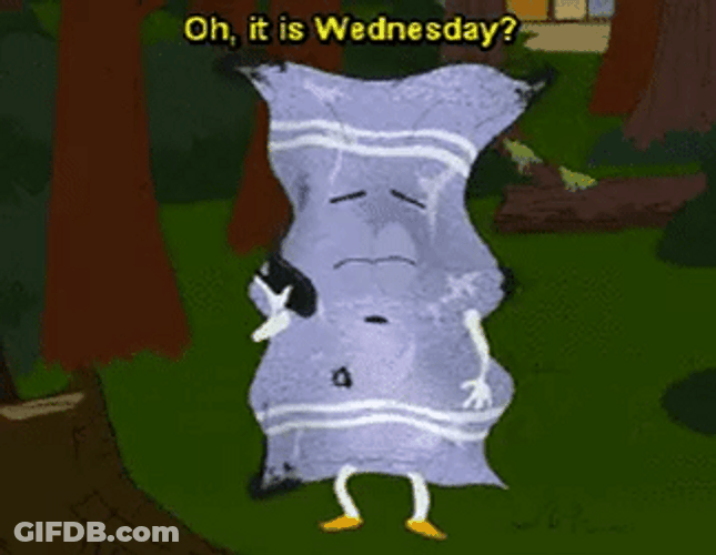 Towelie Wasted And Confused GIF