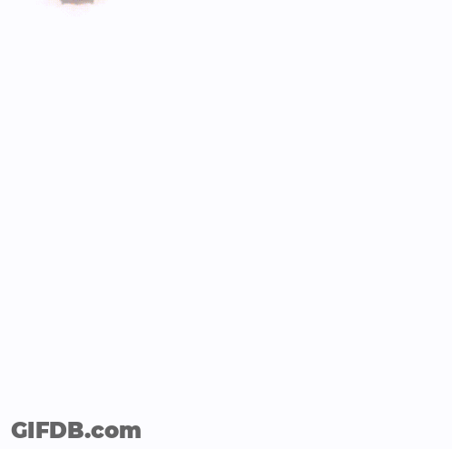 Toy Bugs With Big Eyes Moving In A Row GIF